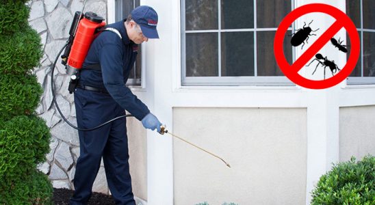 Göle Karınca İlaçlama böcek ilaçlama ve haşere kontrolü — ilaclama-tr.com